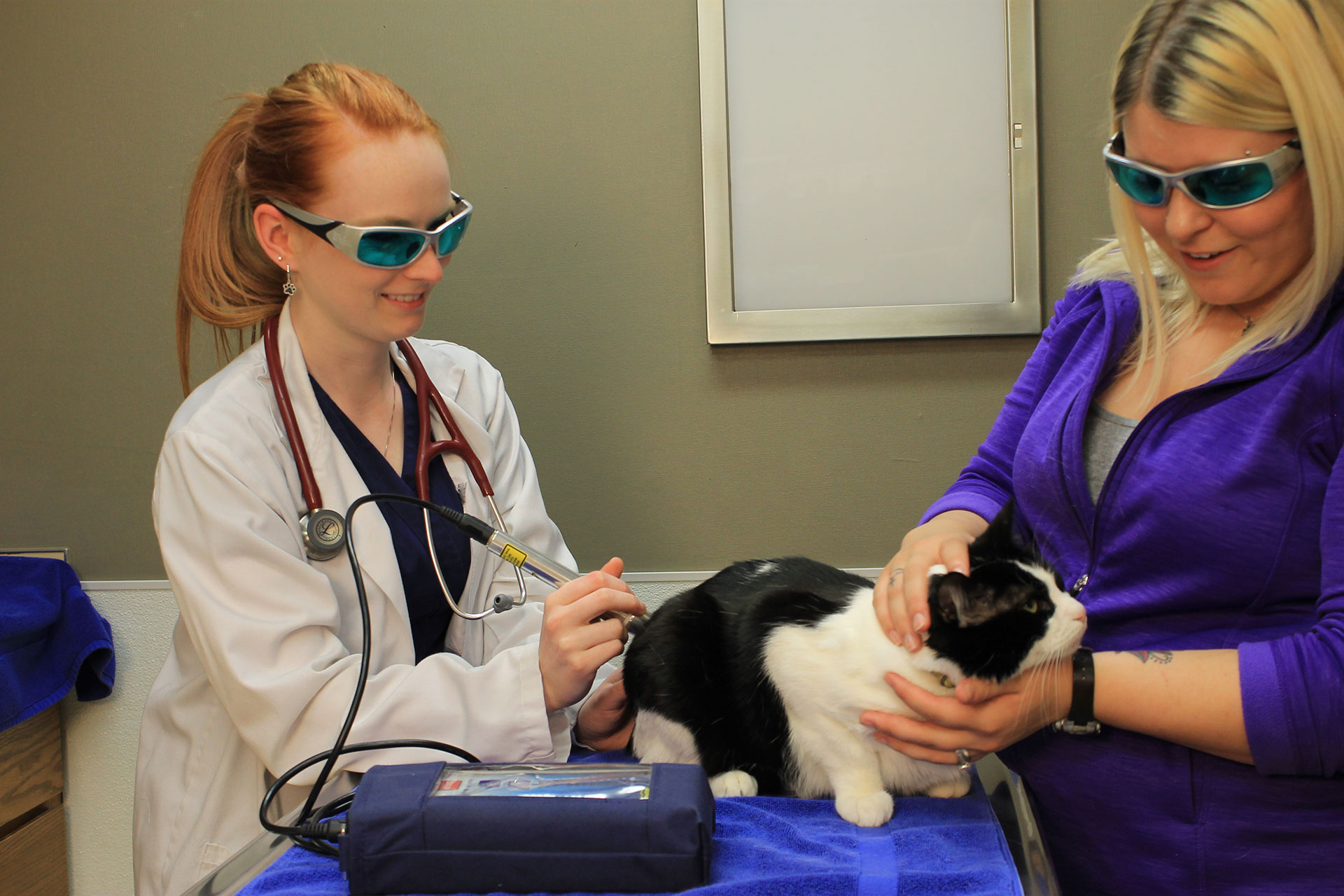 Laser Therapy  Shirley, NY